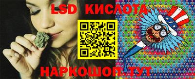 прущие грибы Гусев