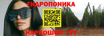 jwh Дубна
