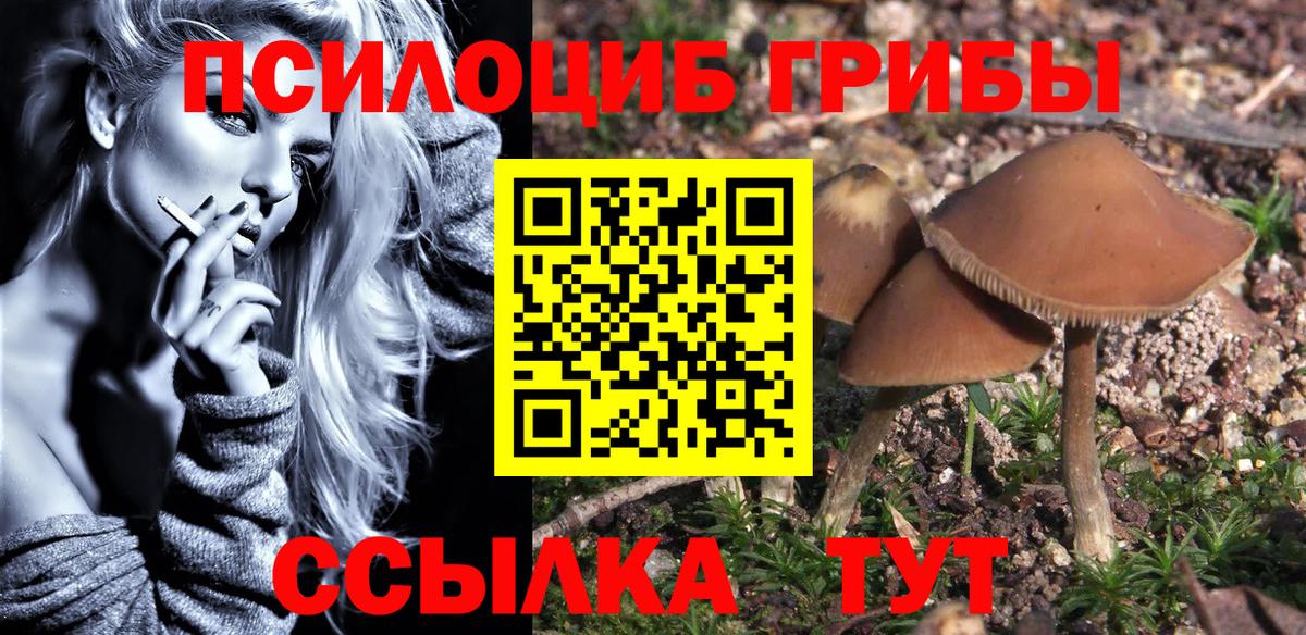 Лыткарино  Псилоцибиновые грибы Psilocybe  Вход с VPN 